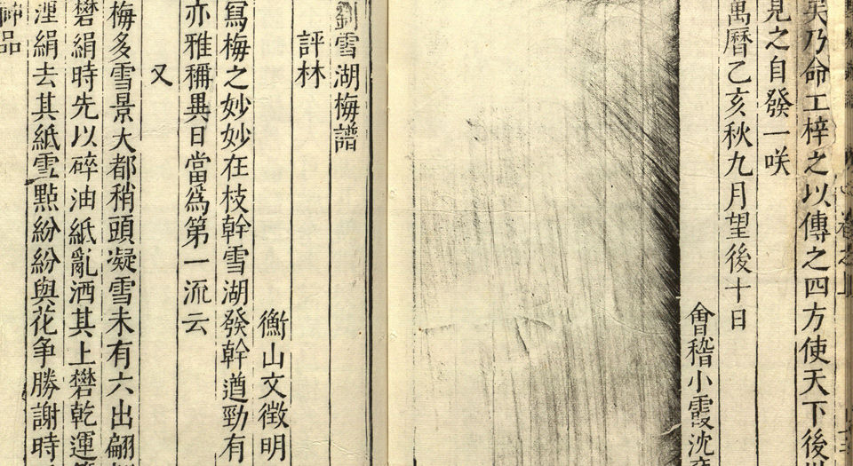 刘雪湖梅谱