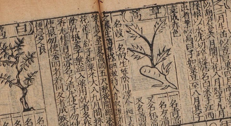 新刻太乙仙制本草药性大全.8卷.首卷.明王文洁汇校.明万历10年陈氏积善堂刊本.1582年