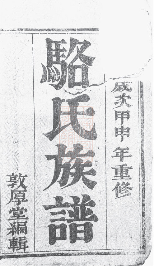 骆氏家谱24本骆氏族谱骆家宗谱家训明清民国古籍