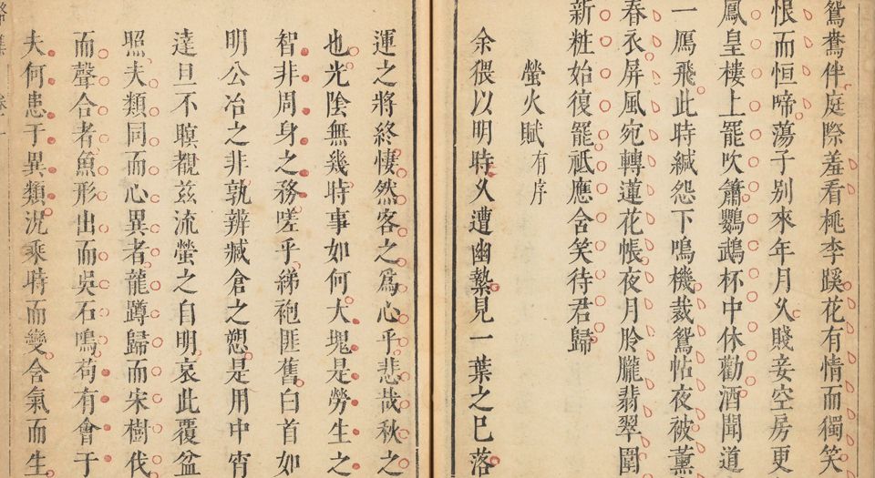 唐骆先生集
