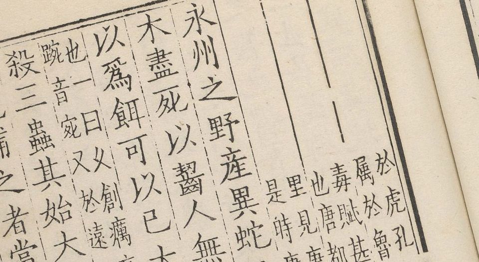 河东先生集.45卷.外集.龙城录.附录.各2卷.集传.1卷.柳宗元撰.廖莹中集注.明嘉靖时期郭云鹏济美堂翻刻宋廖氏世彩堂本