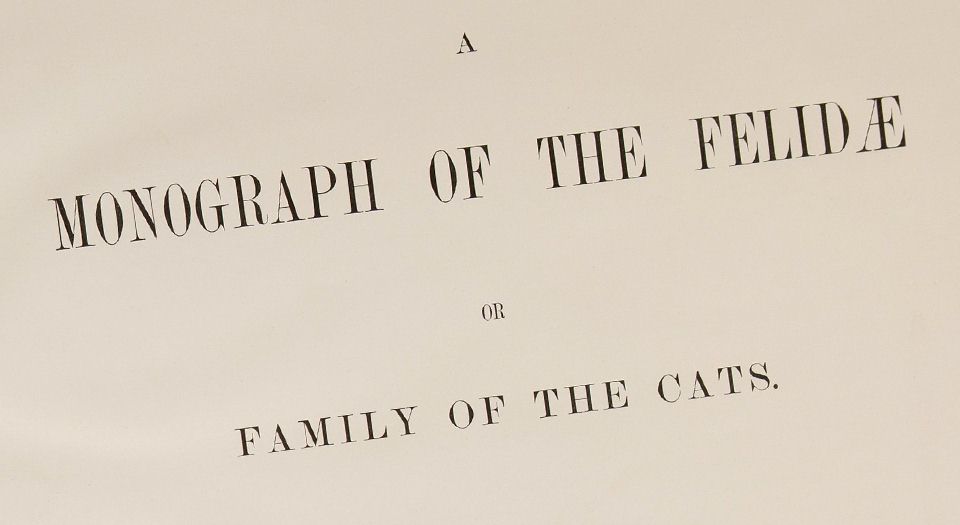 猫科动物图鉴.A monograph of the Felidae or family of the cats.By Daniel Giraud Elliot.英文版.1883年