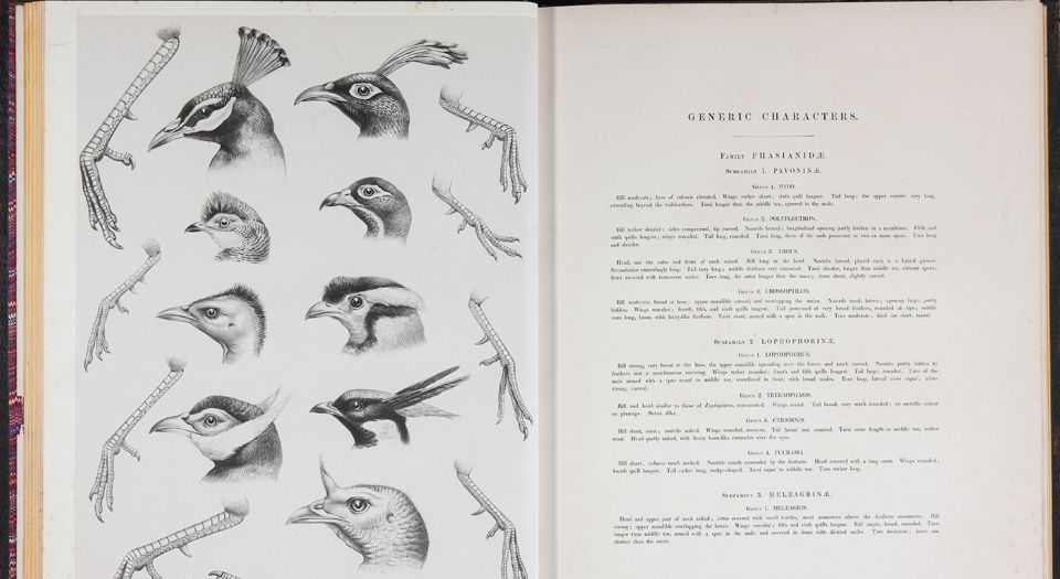 野鸡雉科图鉴.A monograph of the Phasianidae or family of the pheasants.2卷.By Daniel Giraud Elliot.1872年