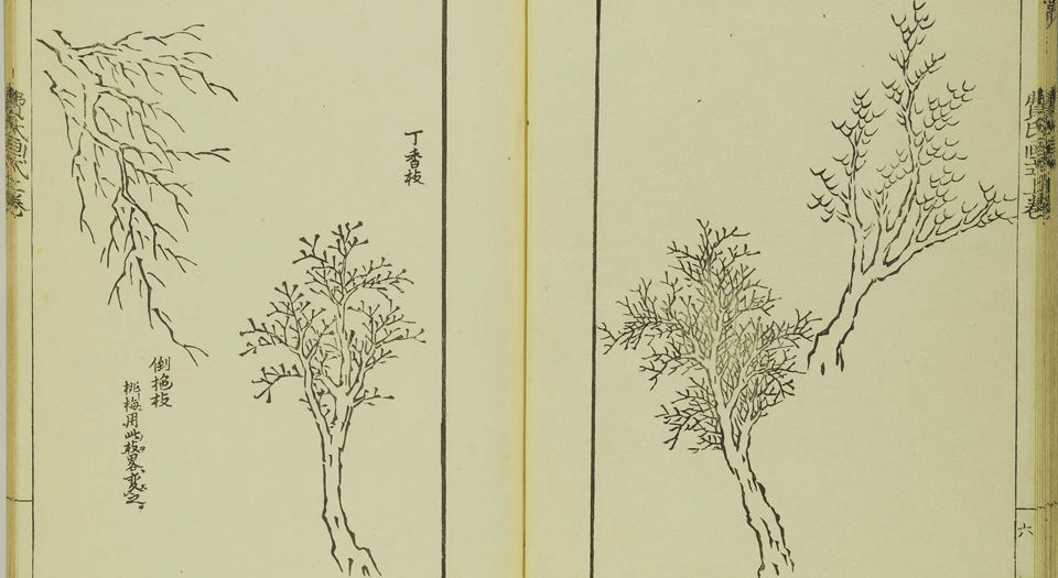 费汉源山水画式