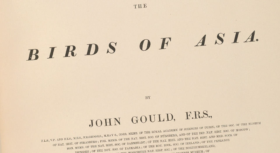 亚洲鸟类版画.Birds of Asia.7卷.By John Gould.英文本.1850至1883年出版