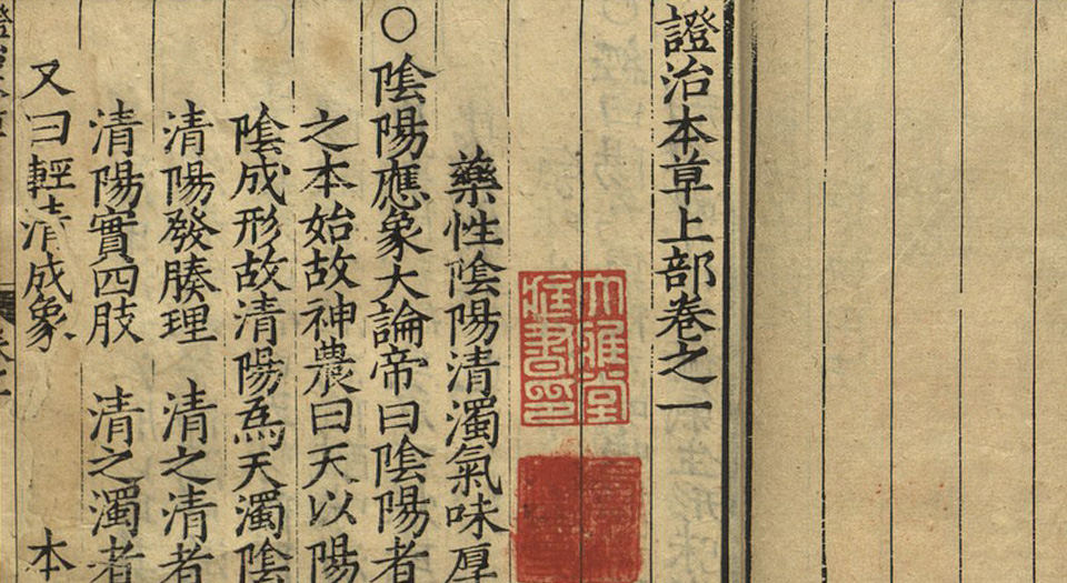 证治本草