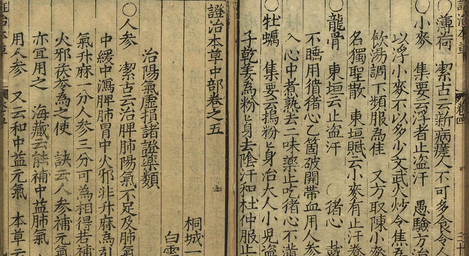 证治本草