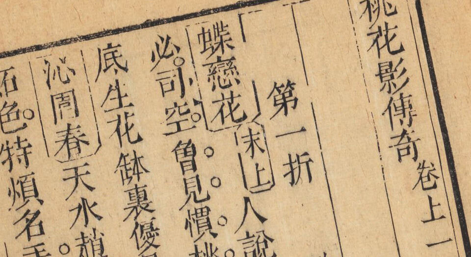 桃花影传奇