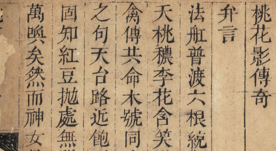 桃花影传奇