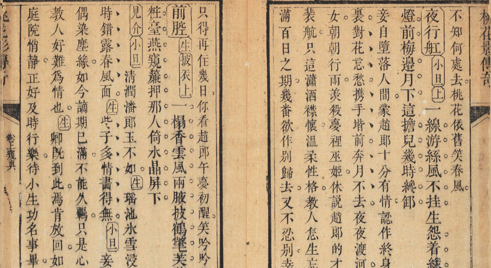 桃花影传奇