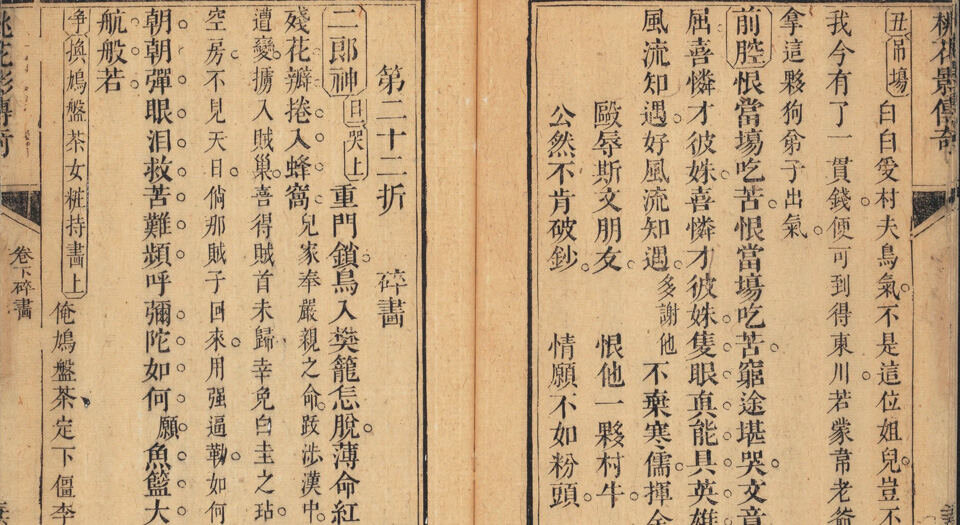 桃花影传奇