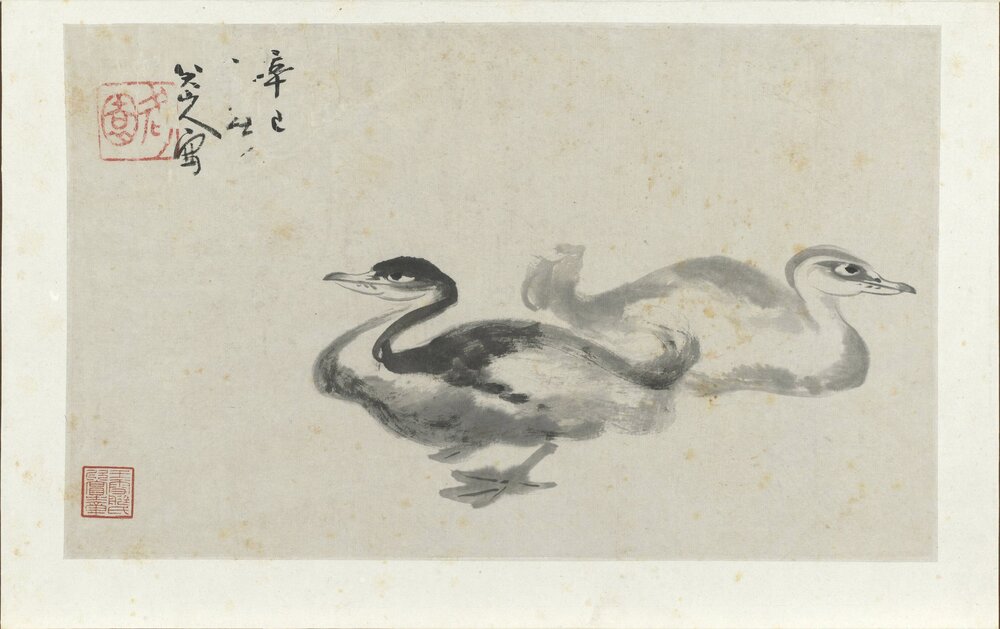 八大山人写生册. 十二开. 明末清初. 朱耷. 绘. 纸本水墨(24x39 厘米)清康熙四十年