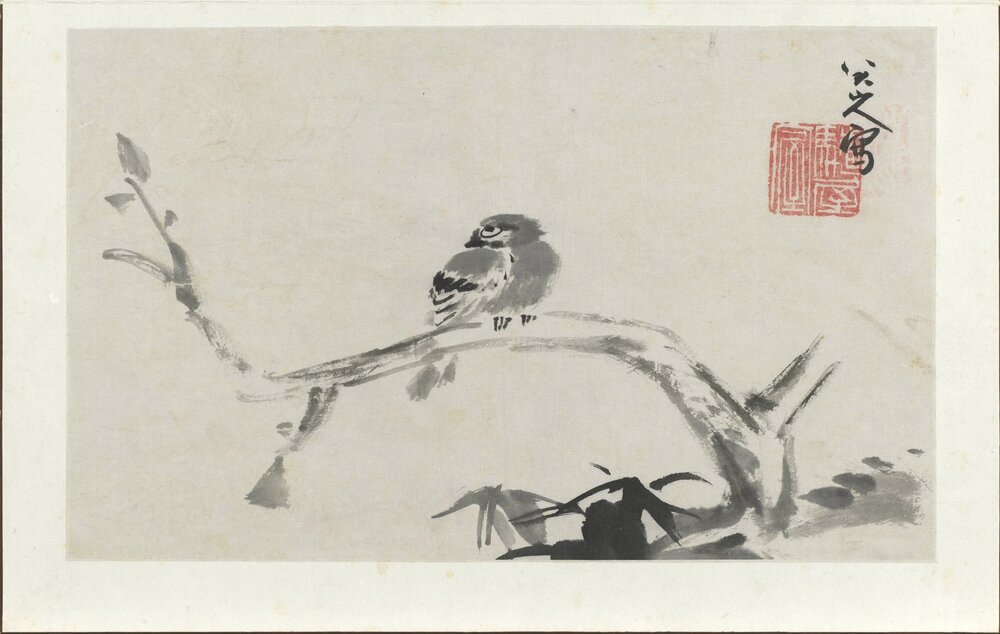 八大山人写生册. 十二开. 明末清初. 朱耷. 绘. 纸本水墨(24x39 厘米)清康熙四十年