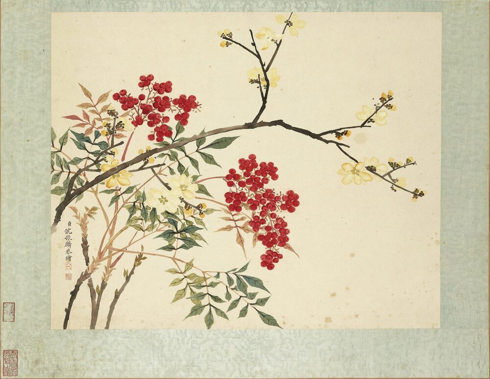 十二月花神册. 清. 沈振麟绘. 纸本设色(27.2x33.4 厘米)