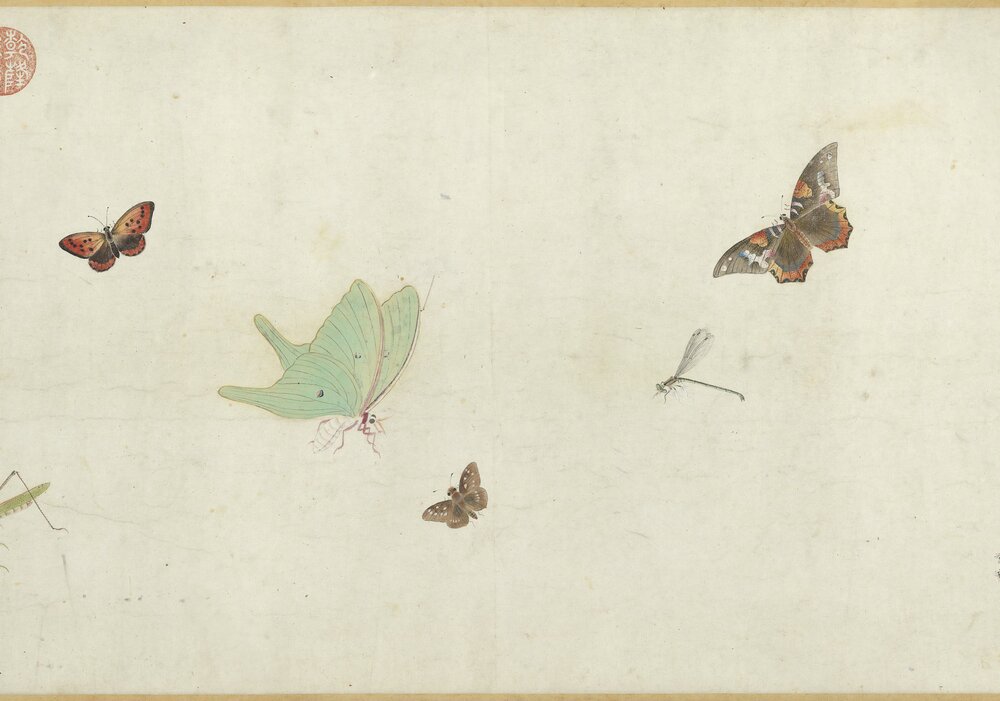 草虫图卷. 清. 朱汝琳画. 纸本设色（28.4x410.2 厘米）清康熙五十年