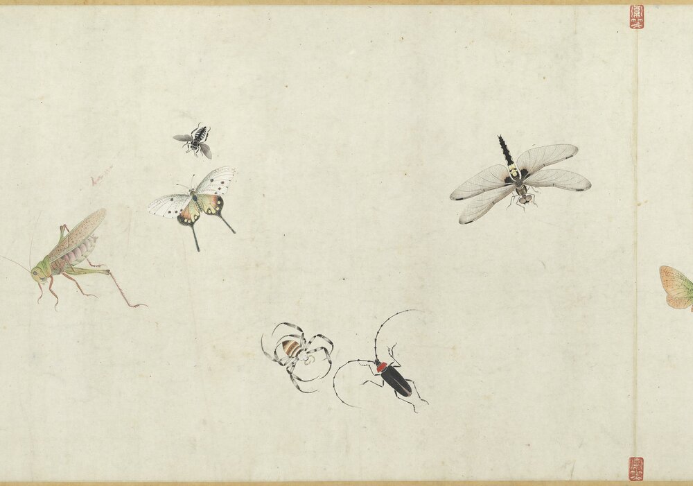 草虫图卷. 清. 朱汝琳画. 纸本设色（28.4x410.2 厘米）清康熙五十年