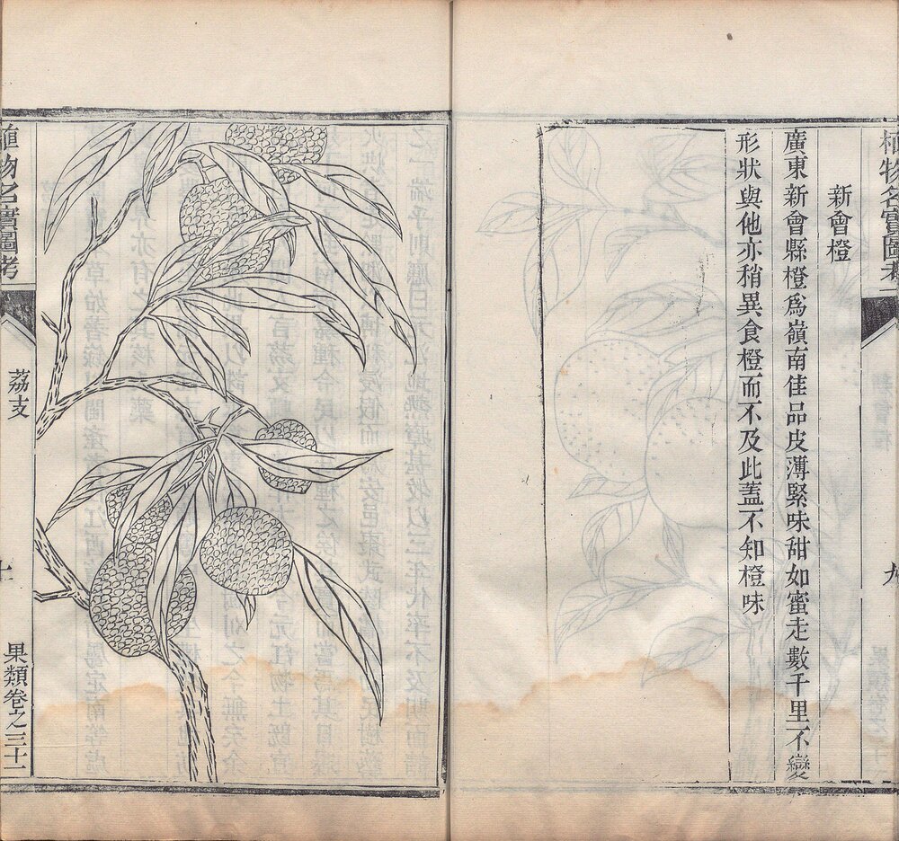 植物名实图考. 三十八卷. 清. 吴其濬撰. 清道光二十八年陆应谷校刊本 植物名实图考长编. 二十二卷. 清. 吴其濬撰. 清道光二十八年陆应谷校刊本