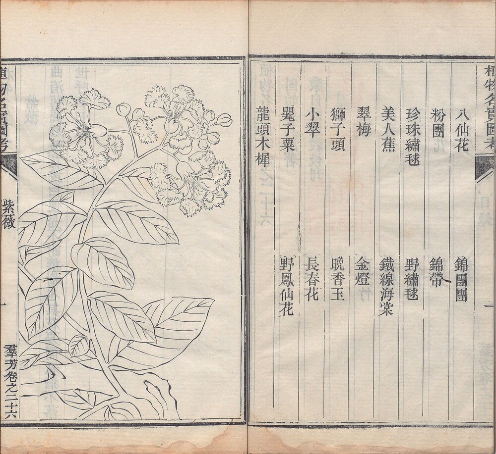 植物名实图考. 三十八卷. 清. 吴其濬撰. 清道光二十八年陆应谷校刊本 植物名实图考长编. 二十二卷. 清. 吴其濬撰. 清道光二十八年陆应谷校刊本
