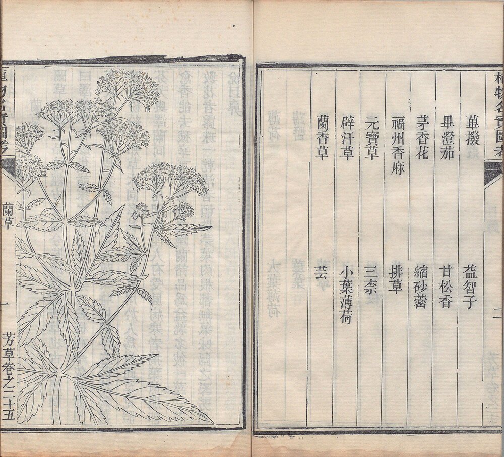 植物名实图考. 三十八卷. 清. 吴其濬撰. 清道光二十八年陆应谷校刊本 植物名实图考长编. 二十二卷. 清. 吴其濬撰. 清道光二十八年陆应谷校刊本