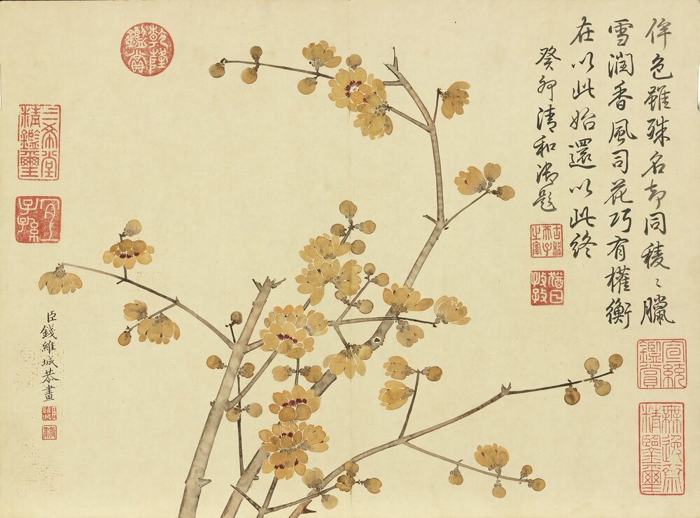 四气含和图册. 上下册各十二开. 清. 钱维城画. 纸本设色(27.4x37 厘米)