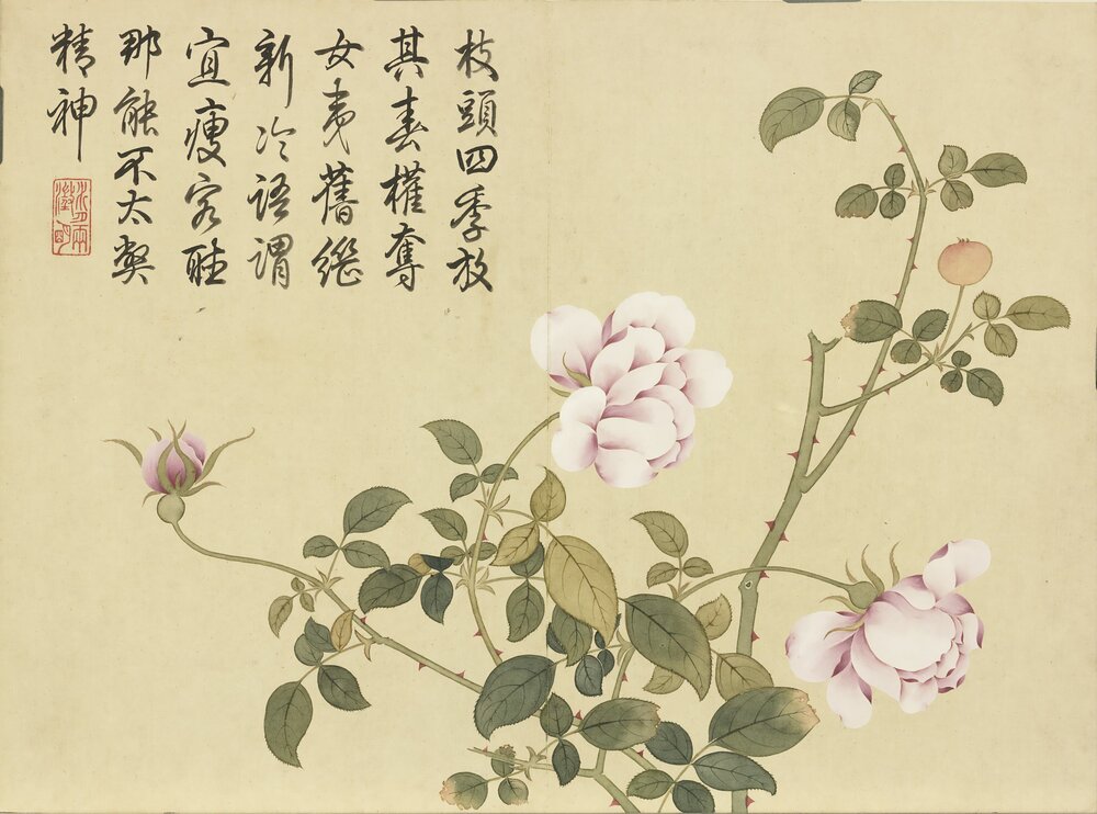 四气含和图册. 上下册各十二开. 清. 钱维城画. 纸本设色(27.4x37 厘米)