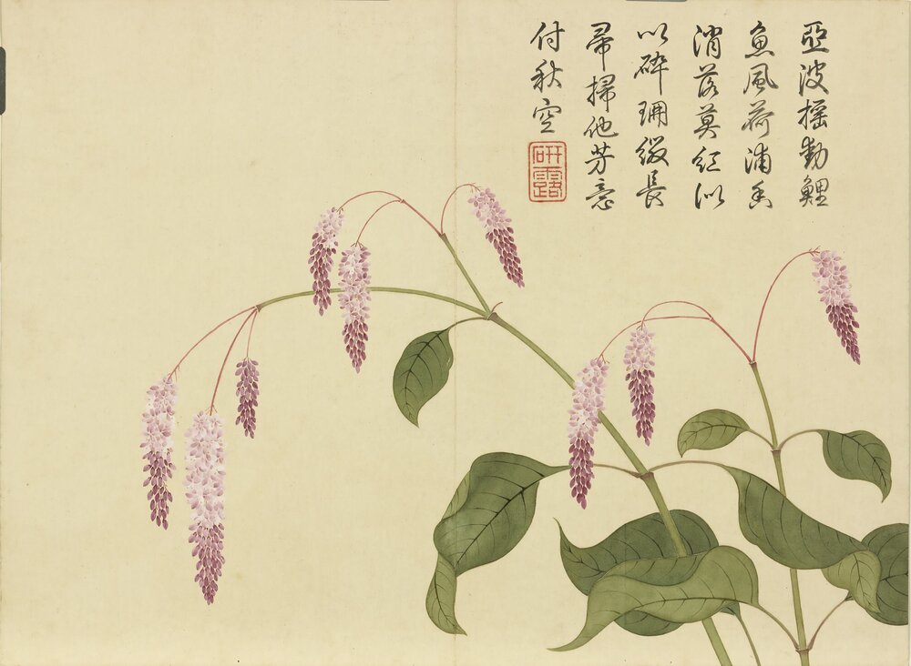 四气含和图册. 上下册各十二开. 清. 钱维城画. 纸本设色(27.4x37 厘米)