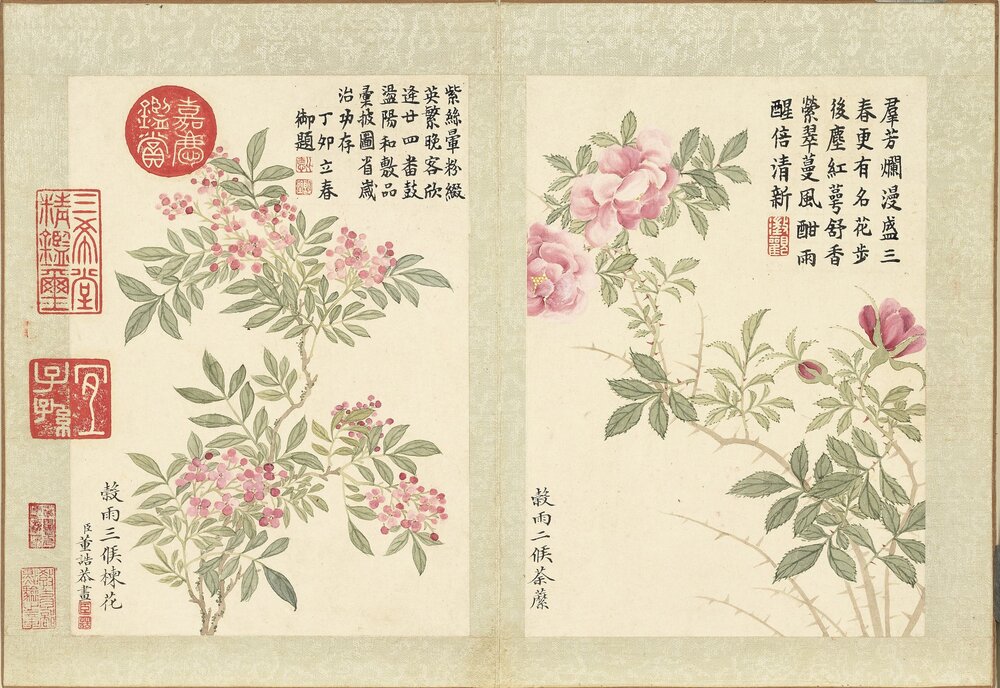 二十四番花信风图册. 十二开. 清. 董诰. 画. 纸本设色(20x14.2 厘米)清嘉庆十二年