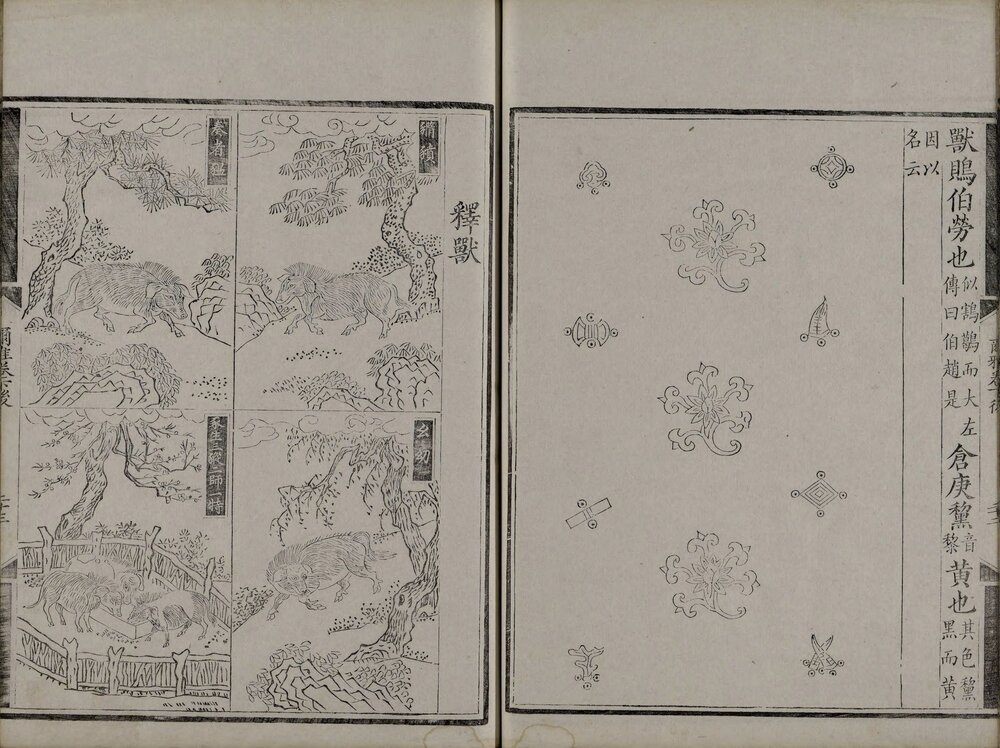 尔雅音图. 三卷. 晋. 郭璞注. 清嘉庆六年艺学轩影宋刊本