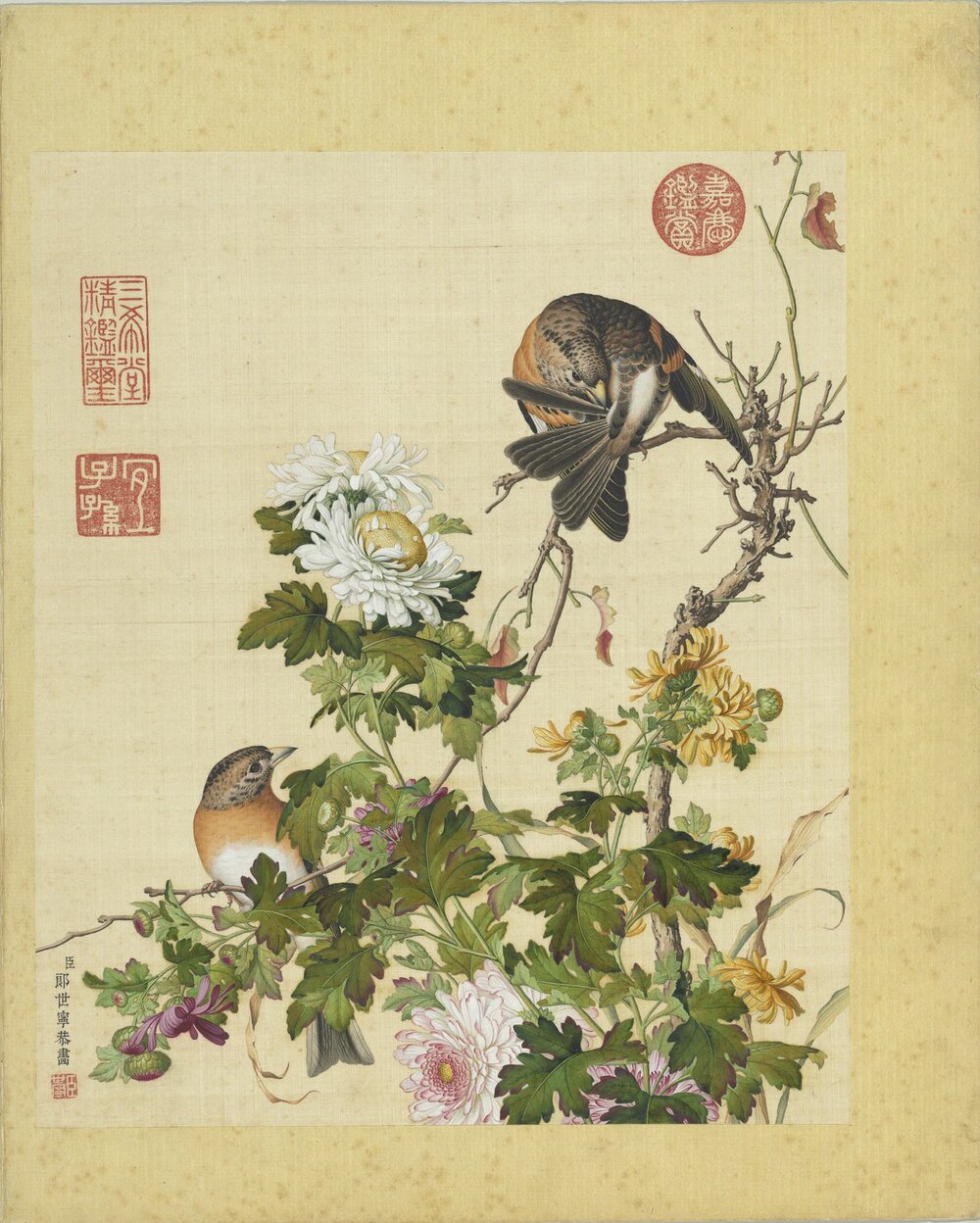 仙萼长春图册. 十六开. 清. 郎世宁画. 绢本设色（33.3x27.8 厘米）