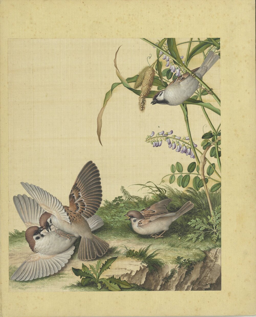 仙萼长春图册. 十六开. 清. 郎世宁画. 绢本设色（33.3x27.8 厘米）