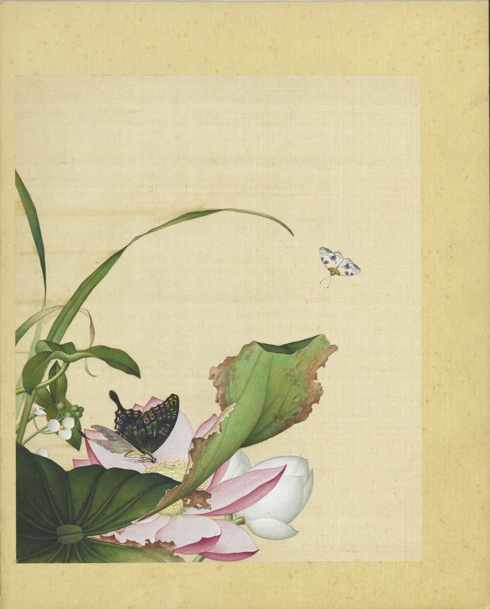 仙萼长春图册. 十六开. 清. 郎世宁画. 绢本设色（33.3x27.8 厘米）