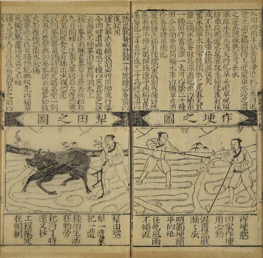 新刻四民便览万书萃锦. 三十六卷. 明. 赵植吾编. 明万历时期詹林我刊本