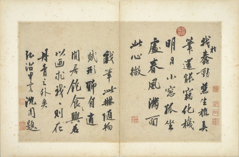 写生图册. 明. 沈周. 绘. 二十开. 纸本浅设色. 明弘治七年