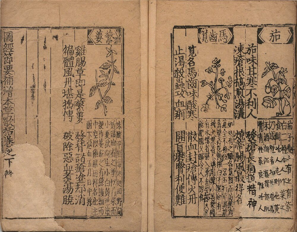图经节要补增本草歌括. 八卷. 元. 胡仕可. 编. 明. 熊宗立. 增补. 明成化元年熊氏种德堂刊本
