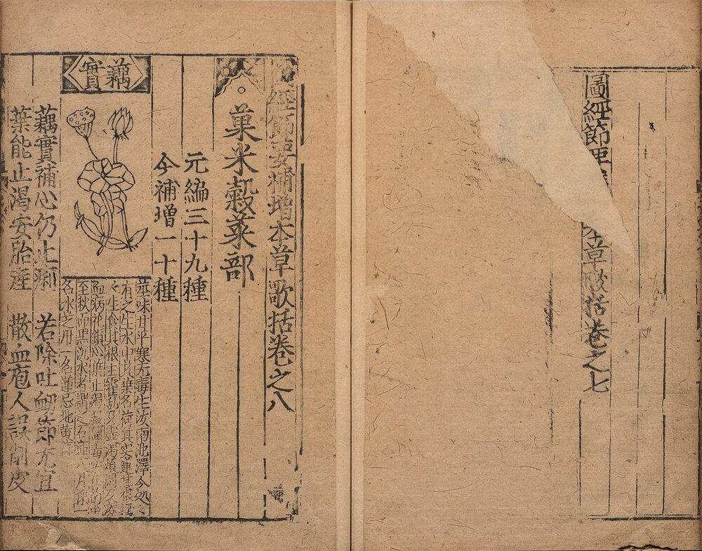图经节要补增本草歌括. 八卷. 元. 胡仕可. 编. 明. 熊宗立. 增补. 明成化元年熊氏种德堂刊本