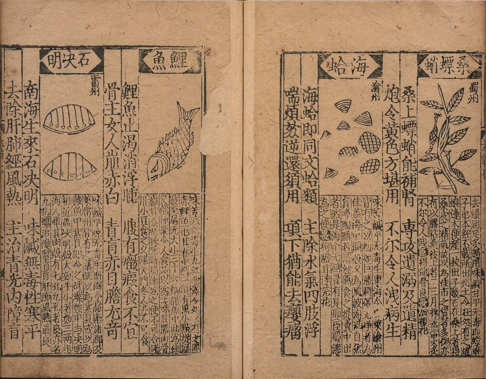 图经节要补增本草歌括. 八卷. 元. 胡仕可. 编. 明. 熊宗立. 增补. 明成化元年熊氏种德堂刊本