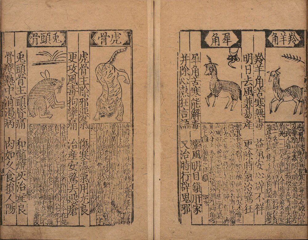 图经节要补增本草歌括. 八卷. 元. 胡仕可. 编. 明. 熊宗立. 增补. 明成化元年熊氏种德堂刊本