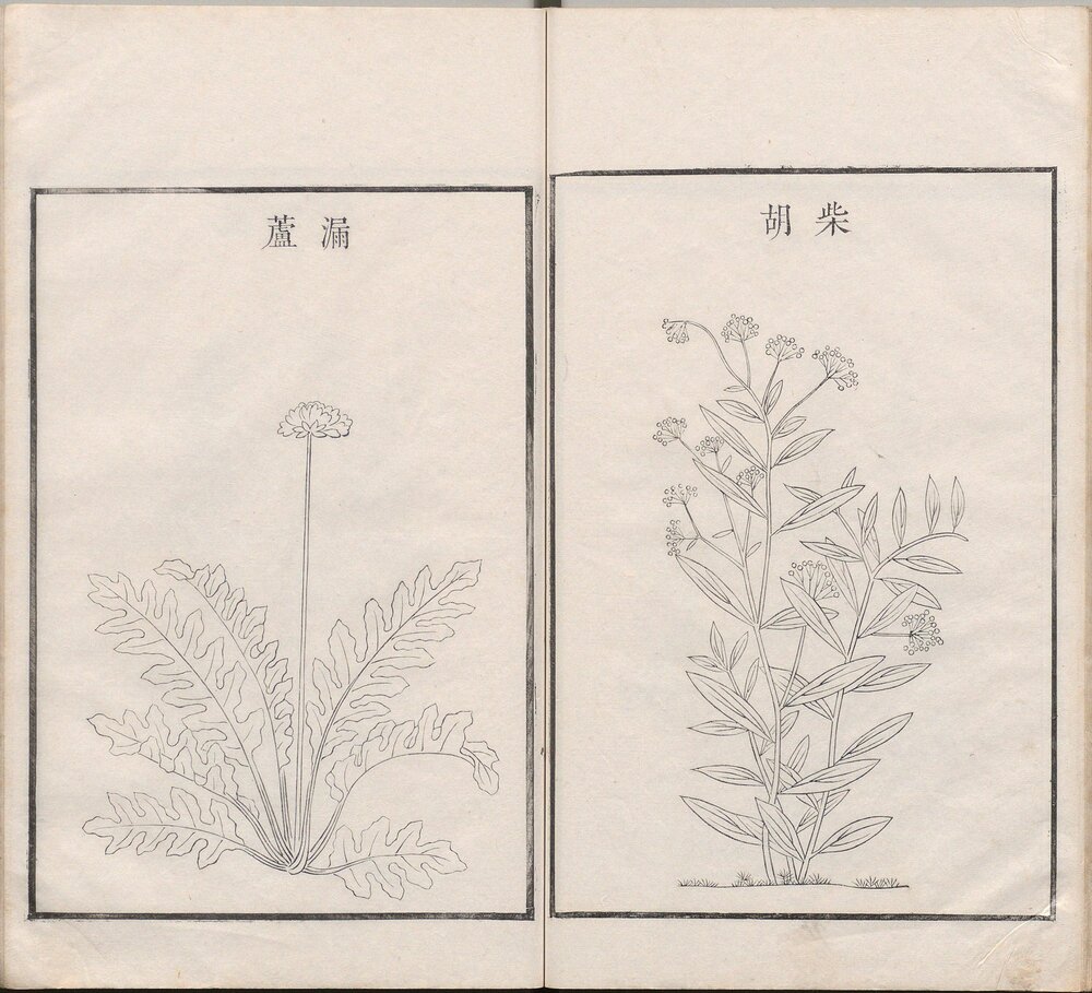 古今图书集成图纂. 内府全图. 四十卷. 清刊本