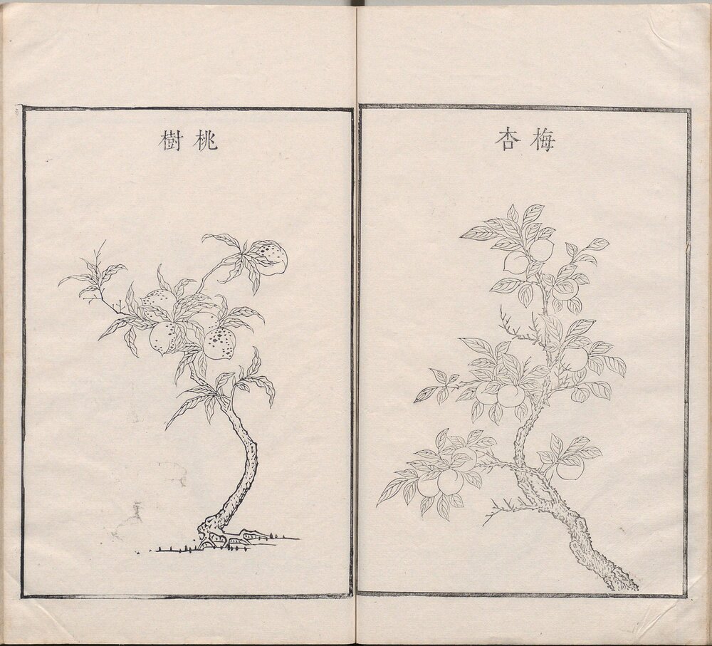 古今图书集成图纂. 内府全图. 四十卷. 清刊本