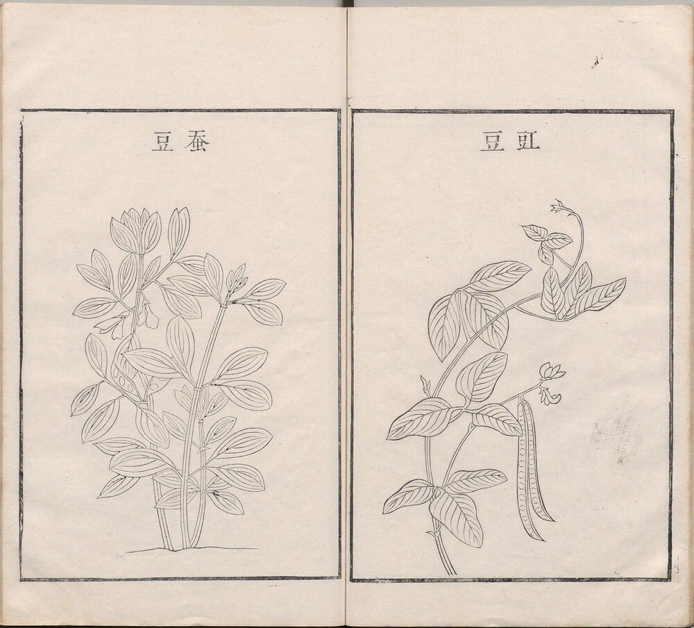 古今图书集成图纂. 内府全图. 四十卷. 清刊本