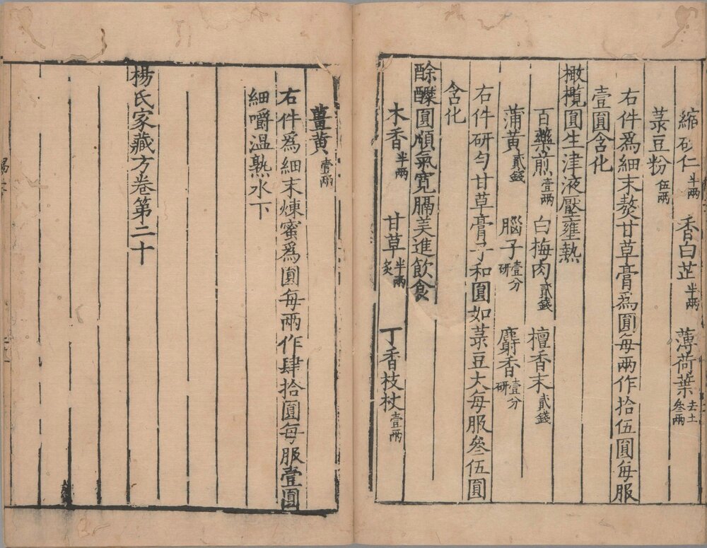 杨氏家藏方. 二十卷. 南宋. 杨倓. 辑. 南宋淳熙十二年跋刊本