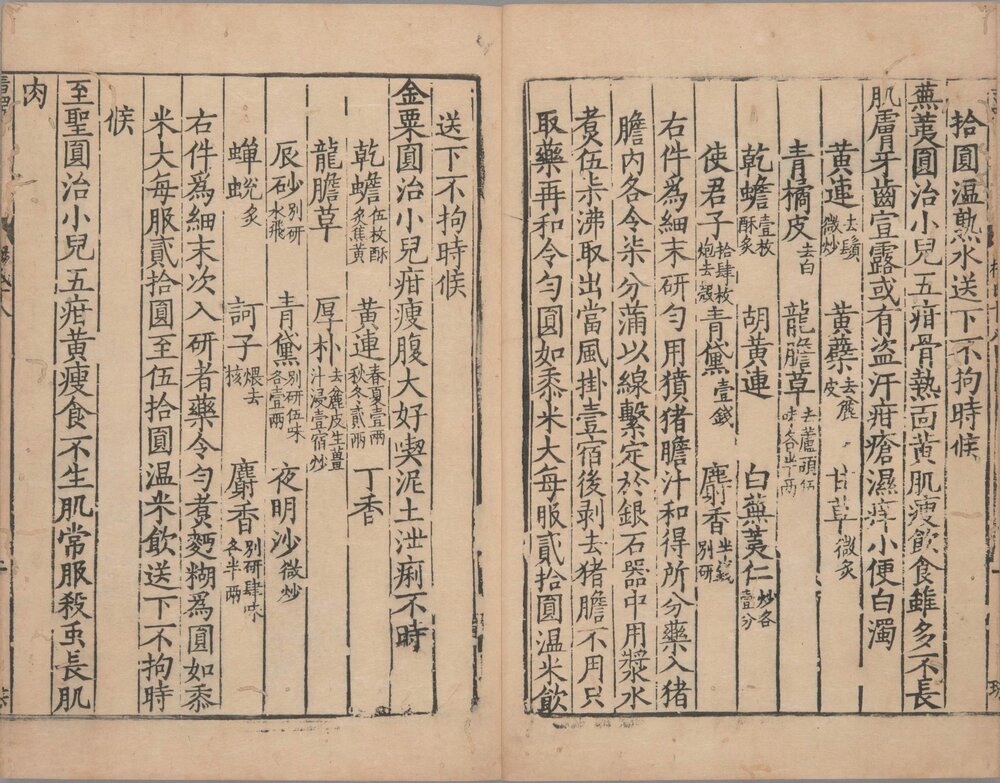 杨氏家藏方. 二十卷. 南宋. 杨倓. 辑. 南宋淳熙十二年跋刊本
