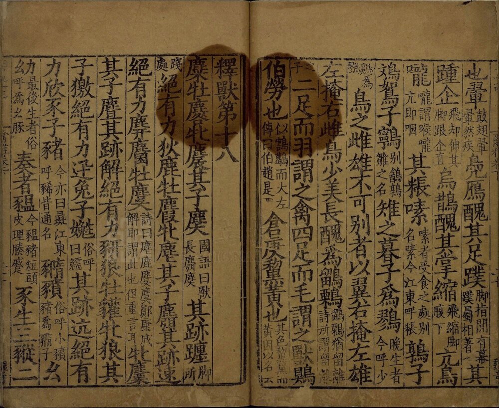 尔雅. 三卷. 南宋国子监大字刊本