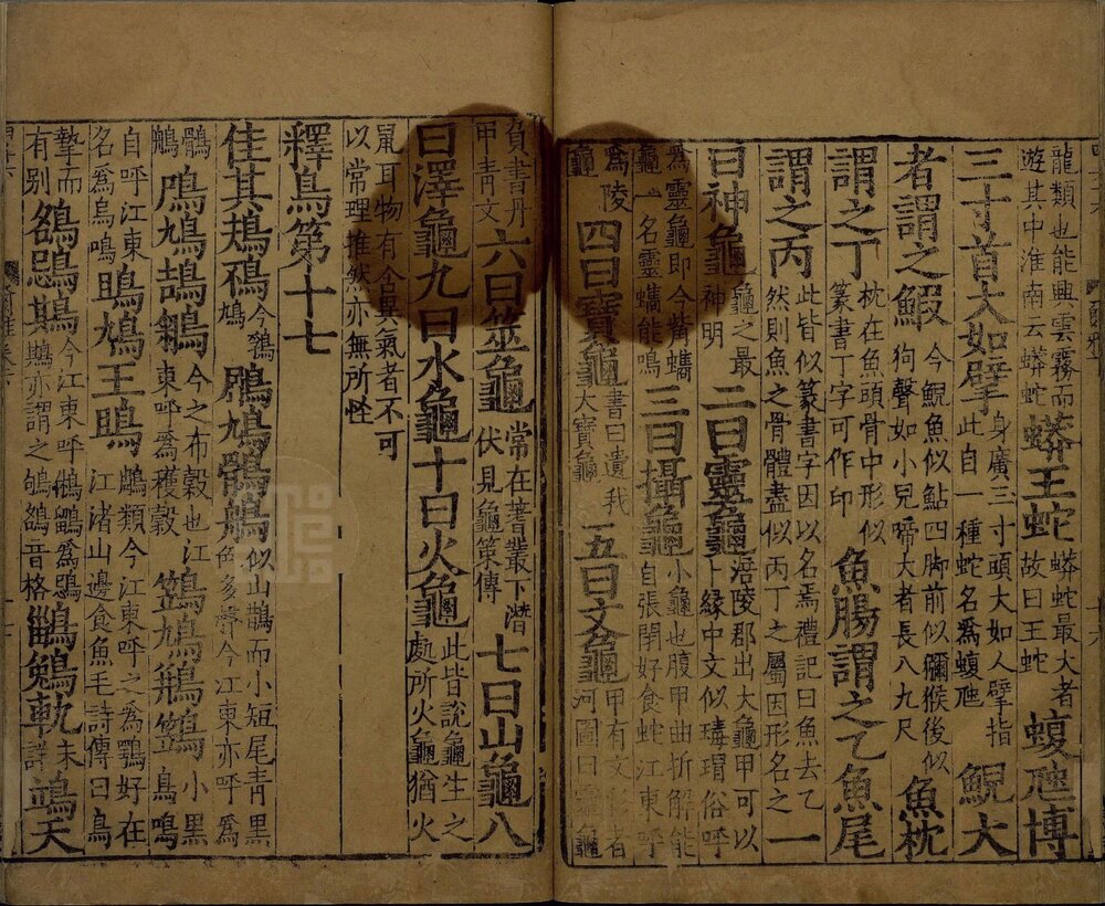 尔雅. 三卷. 南宋国子监大字刊本