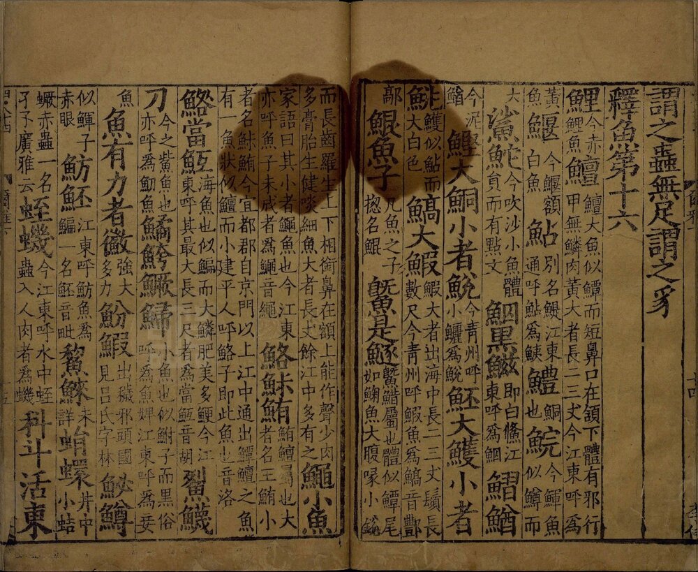尔雅. 三卷. 南宋国子监大字刊本