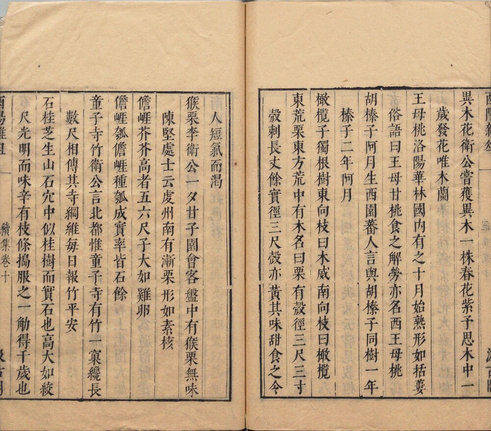 酉阳杂俎. 二十卷. 唐. 段成式著. 明万历时期新都汪士贤校刊本 酉阳杂俎. 续集. 十卷. 唐. 段成式著. 明. 毛晋. 校. 明末虞山毛氏汲古阁刊本