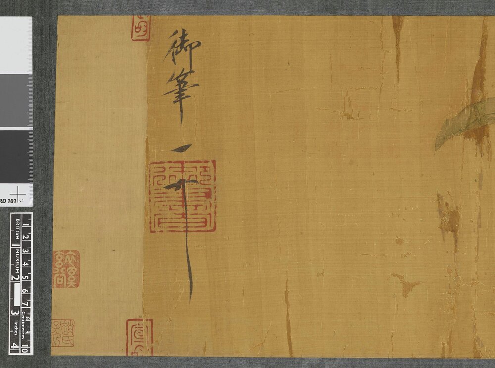 写生翎毛图卷. 传宋徽宗绘. 绢本设色.60366x5608 像素