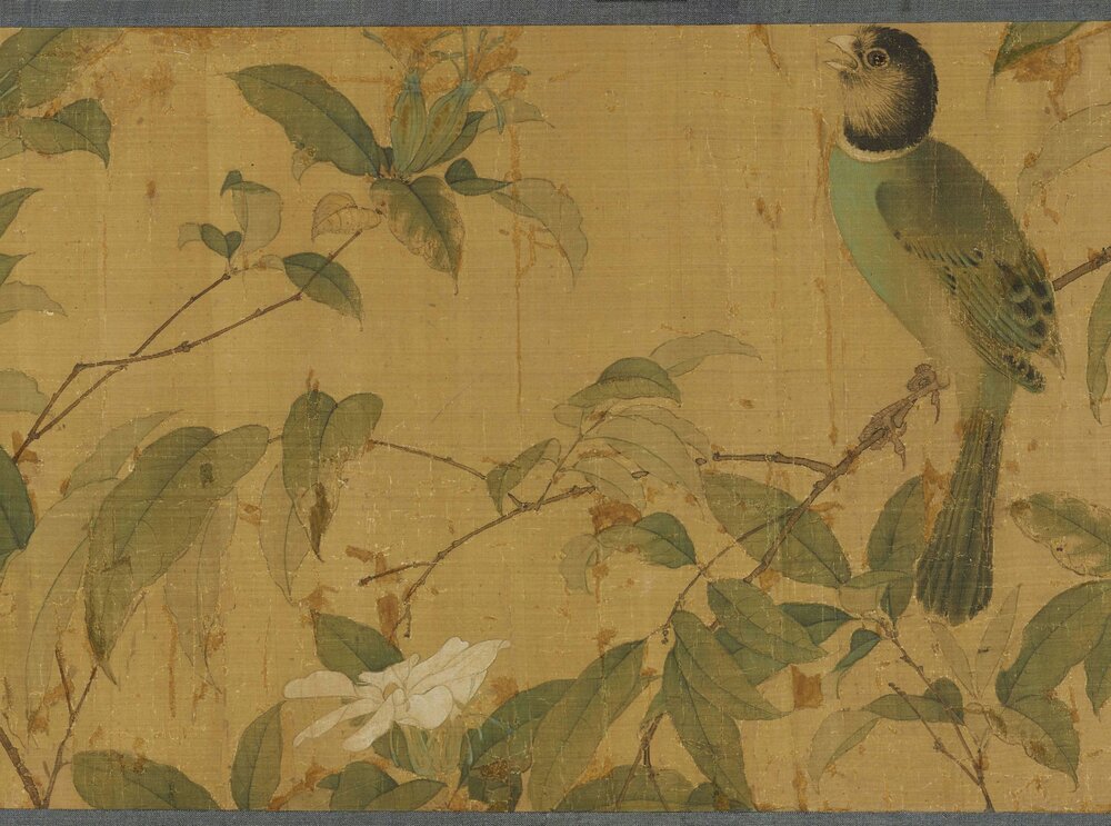写生翎毛图卷. 传宋徽宗绘. 绢本设色.60366x5608 像素