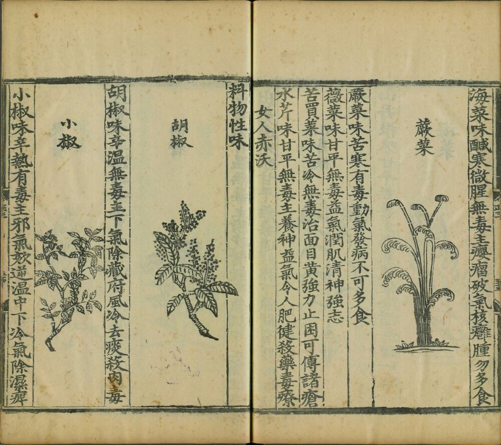 饮膳正要 明景泰七年(丙子 1456)内府刊(后印)本 ?