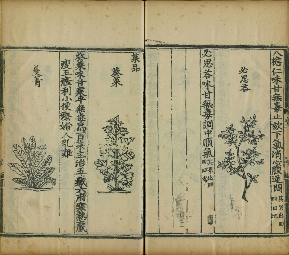 饮膳正要 明景泰七年(丙子 1456)内府刊(后印)本 ?